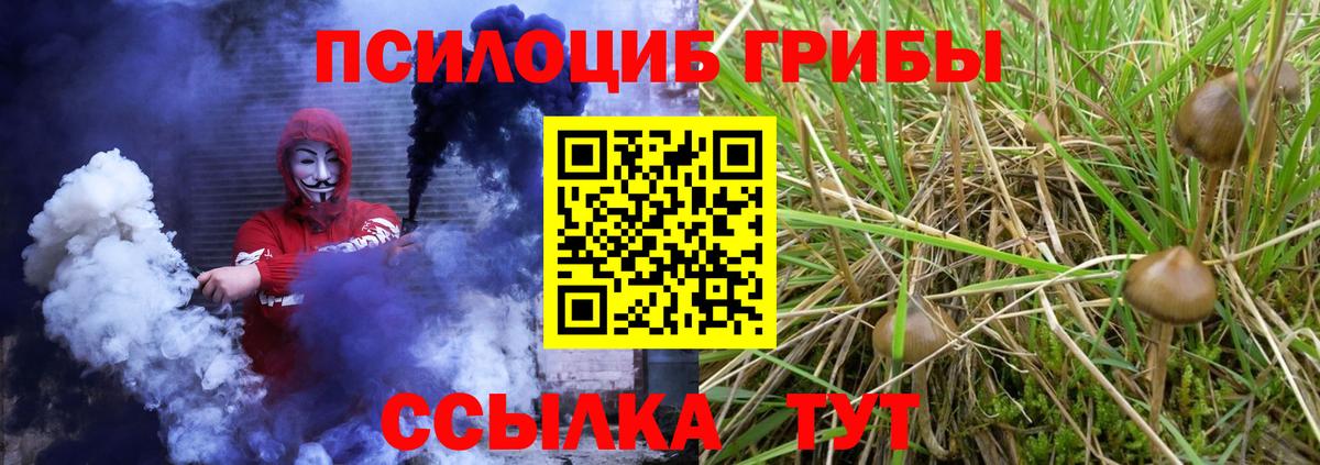Галлюциногенные грибы прущие грибы  Вход с VPN  Галлюциногенные грибы прущие грибы  Орехово-Зуево 