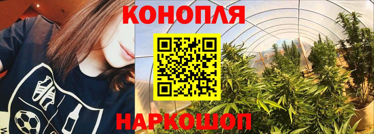 Шишки марихуана сатива  Вход с VPN  Орехово-Зуево  Канабис конопля 